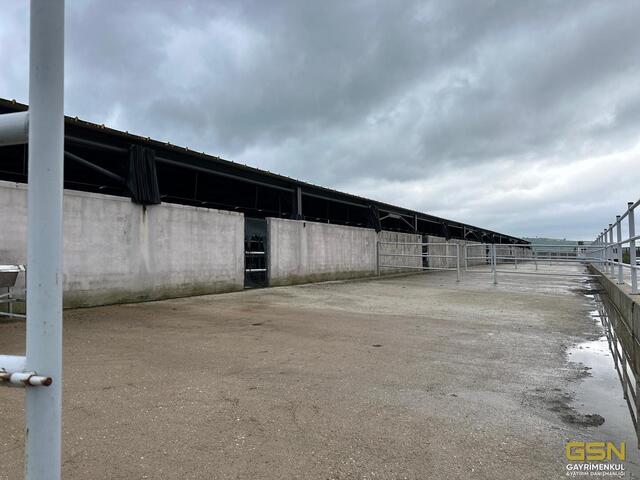 1-GSN GAYRİMENKUL'DEN AVRUPA STANDARTLARINDA RUHSATLI BESİÇİFTLİĞİ