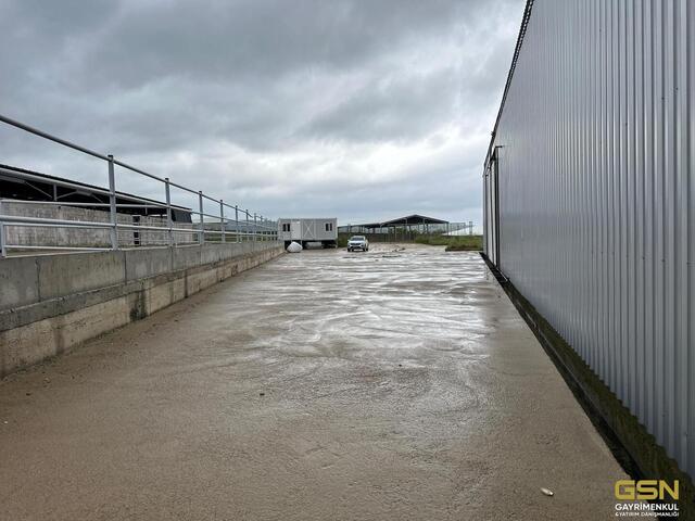 3-GSN GAYRİMENKUL'DEN AVRUPA STANDARTLARINDA RUHSATLI BESİÇİFTLİĞİ