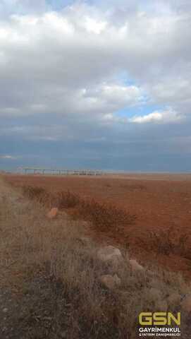 4-GSN GAYRİMENKULDEN ÇUMRA APA KÖYÜNDE NATAMAM PROJELİ ÇİFTLİK