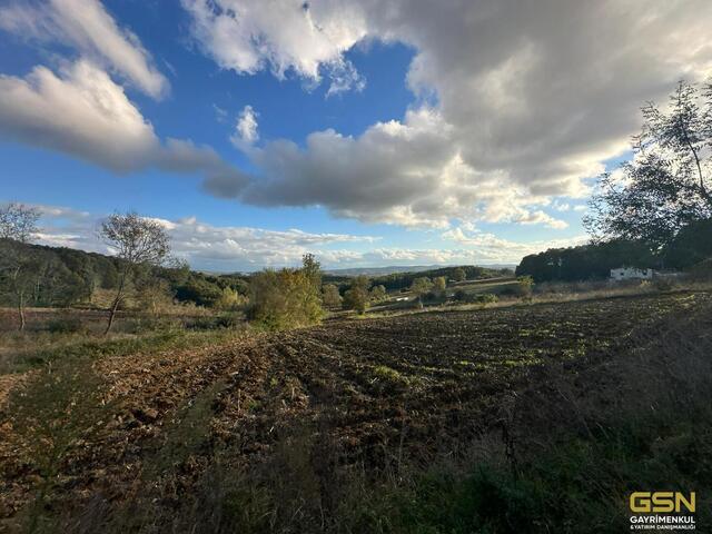 GSN GYRİMENKUL'DEN İZMİT ÇAĞIRGANLI KÖYÜNDE YOLA CEPHE TARLA