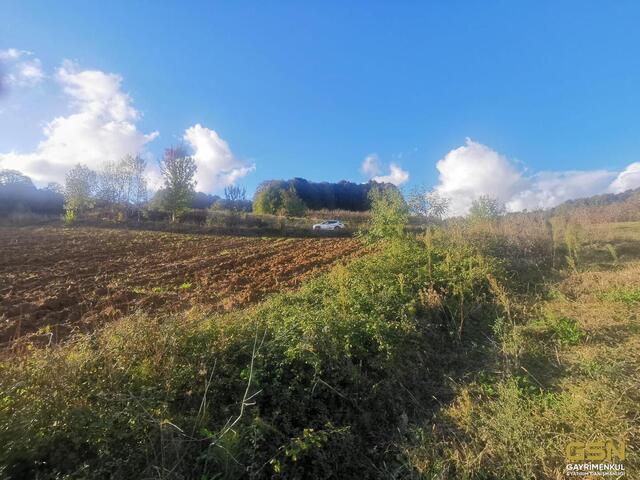 10-GSN GYRİMENKUL'DEN İZMİT ÇAĞIRGANLI KÖYÜNDE YOLA CEPHE TARLA