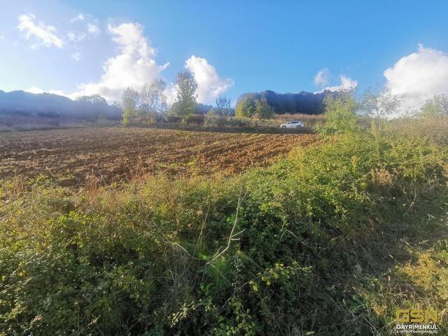 11-GSN GYRİMENKUL'DEN İZMİT ÇAĞIRGANLI KÖYÜNDE YOLA CEPHE TARLA