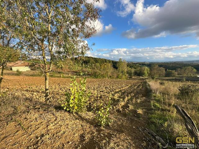 6-GSN GYRİMENKUL'DEN İZMİT ÇAĞIRGANLI KÖYÜNDE YOLA CEPHE TARLA