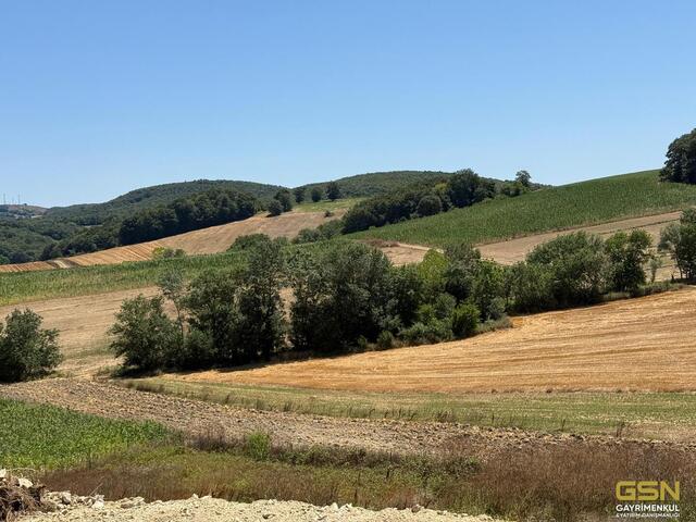 1-DERİNCE TAHTALIDA YOLA CEPHE SATILIK ARAZİ