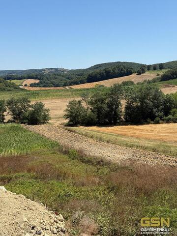 3-DERİNCE TAHTALIDA YOLA CEPHE SATILIK ARAZİ