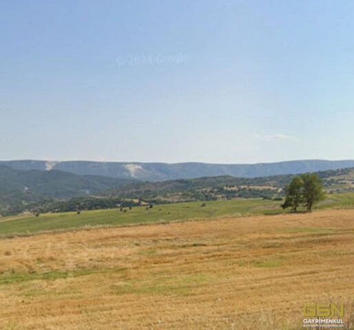 4-BİLECİK YENİPAZAR/BELKESE DE TAKASLI ARAZİ