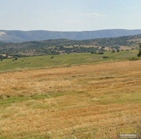 5-BİLECİK YENİPAZAR/BELKESE DE TAKASLI ARAZİ