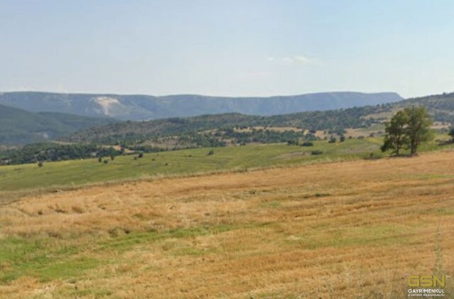 3-BİLECİK YENİPAZAR/BELKESE DE TAKASLI ARAZİ